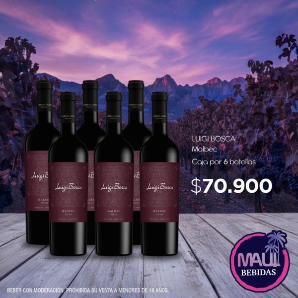 CAJA LUIGI BOSCA x 6u