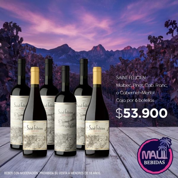 CAJA SAINT FELICIEN x 6u