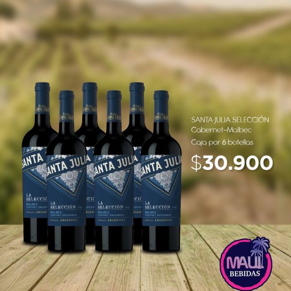 SANTA JULIA SELECCION MALBEC-CABERNET x 6U.