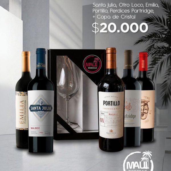 ESTUCHE VINO SELECCIONADO + COPA DE CRISTAL