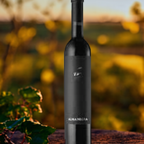 ALMA NEGRA MALBEC x 500 CC