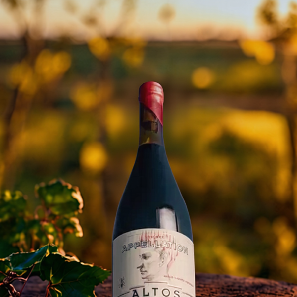 ALTOS LAS HORMIGAS MALBEC APPELATION PARAJE ALTAMIRA x 750 CC