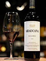 ARAUCANA MALBEC x 750 CC