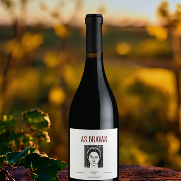 AS BRAVAS MALBEC ALE VIGIL x 750 CC
