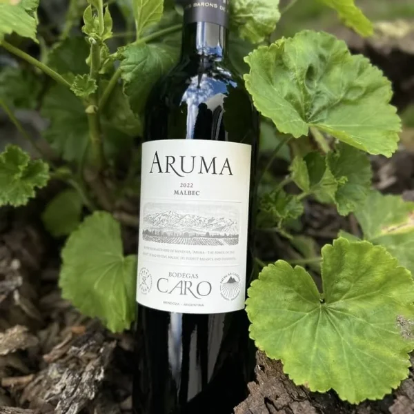 CARO ARUMA MALBEC 2022 x 750 CC