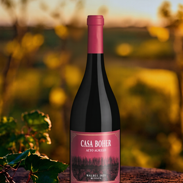 CASA BOHER MALBEC AGRELO x 750 CC