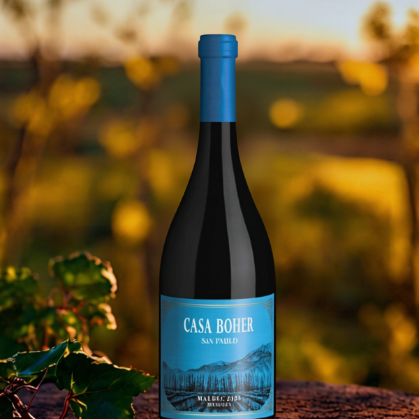 CASA BOHER MALBEC SAN PABLO x 750 CC