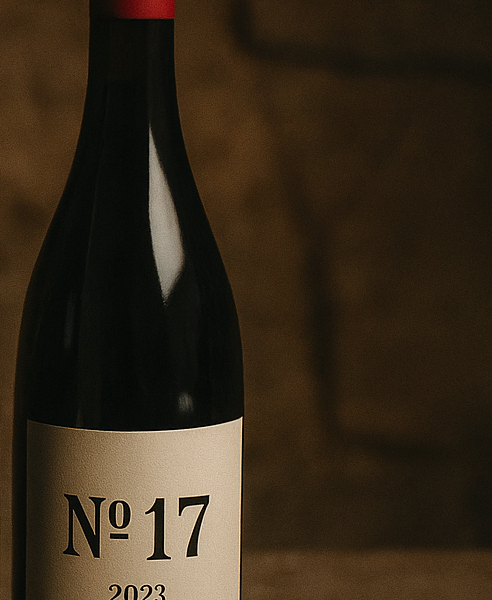 EL REVENTON N17 ALE VIGIL (ESPAÑA)