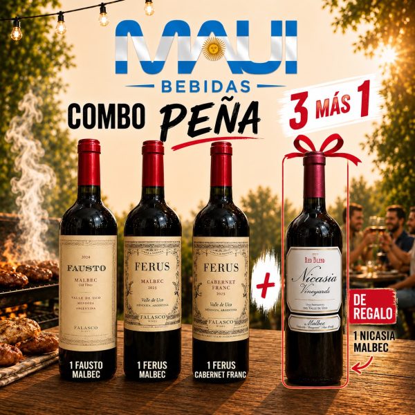 COMBO PEÑA 1