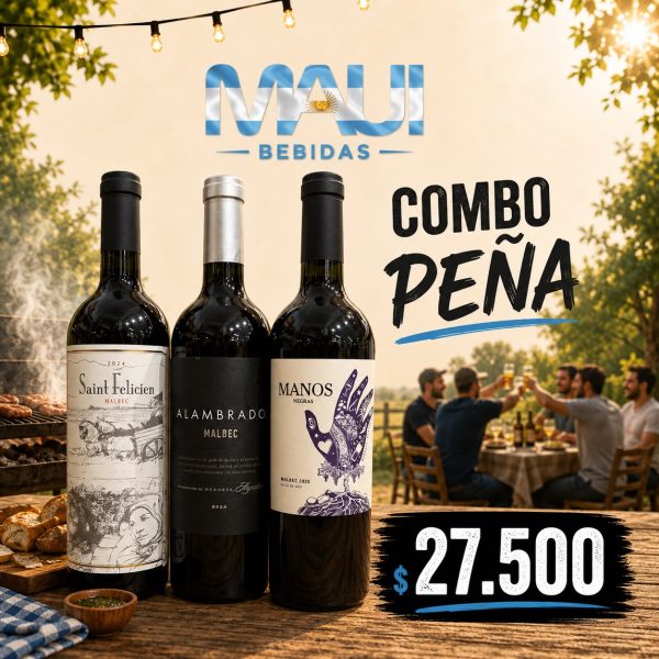 COMBO PEÑA 6