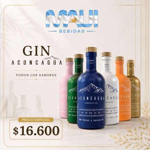 GIN ACONCAGUA x 700 CC (TODOS LOS SABORES)