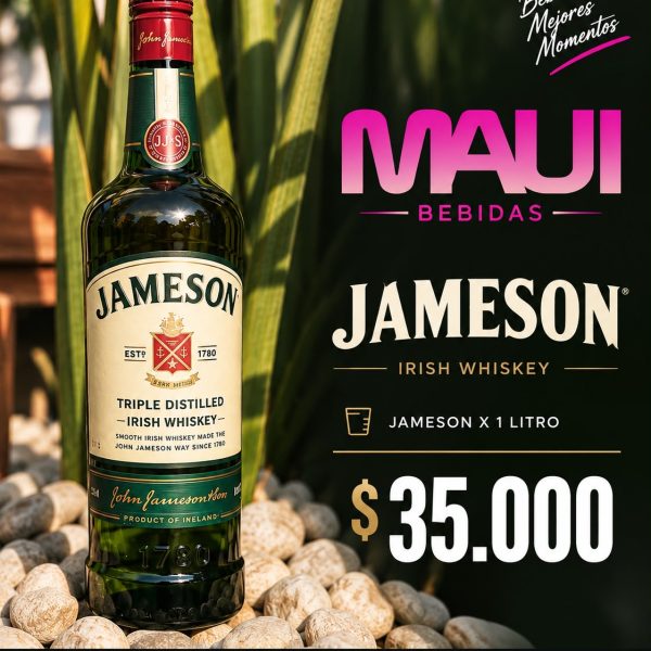 JAMESON x 1 LT
