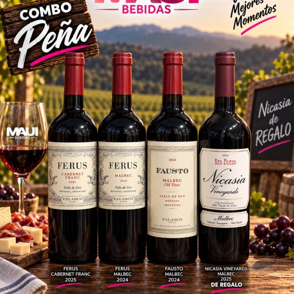 COMBO PEÑA 1