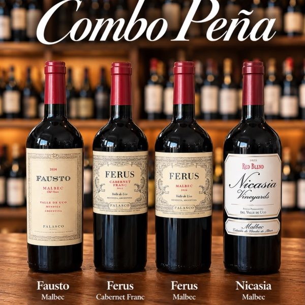 COMBO PEÑA 1