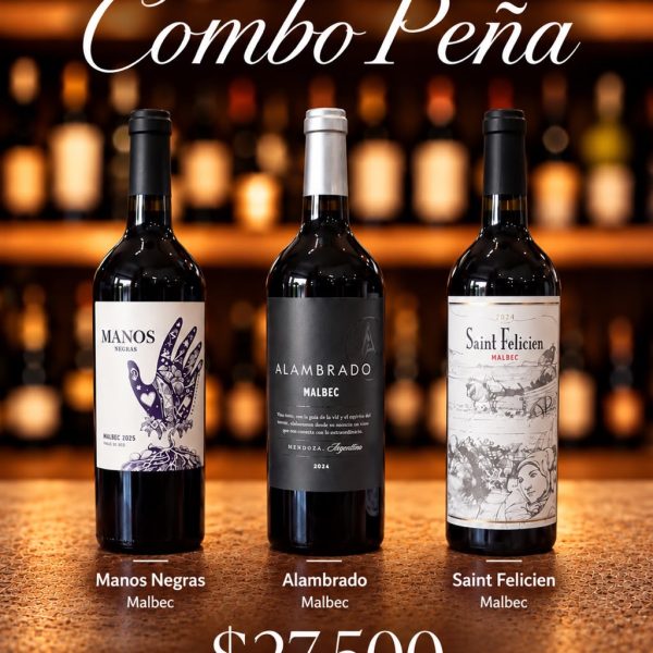 COMBO PEÑA 6