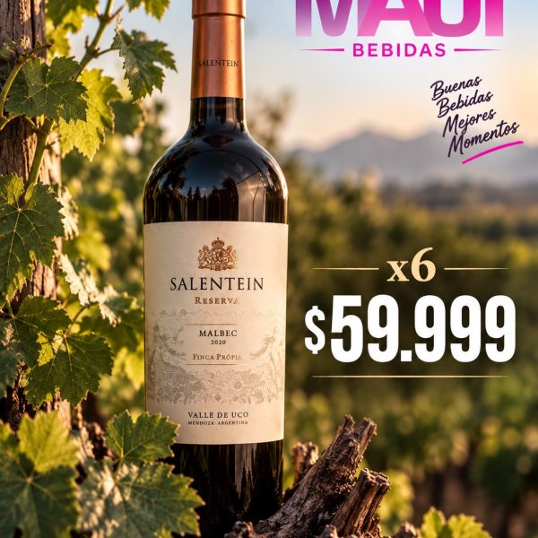 SALENTEIN MALBEC CAJA x 6