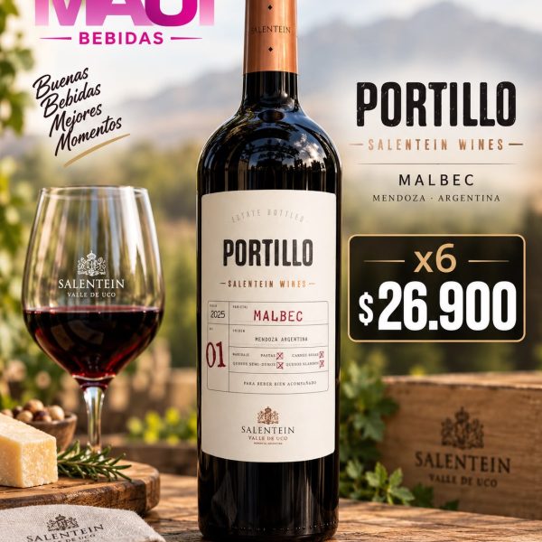 PORTILLO MALBEC CAJA x 6